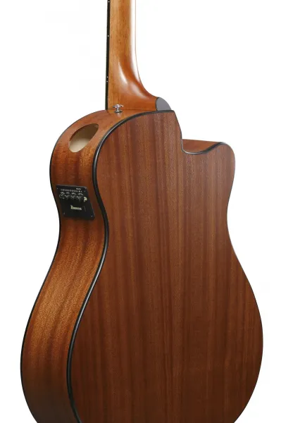 Ibanez AAM50LCE Light Brown Sunburst
