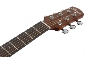 Ibanez AAM50LCE Light Brown Sunburst