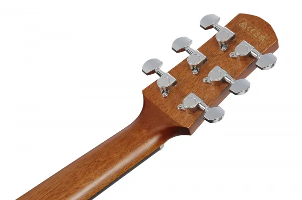 Ibanez AAM50LCE Light Brown Sunburst
