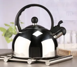 Haushalt International Varná konvice nerezová, 2,5 l