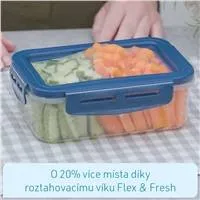 Livington Flex & Fresh dóza, 4 ks