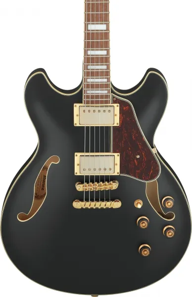 Ibanez AS73G BLK