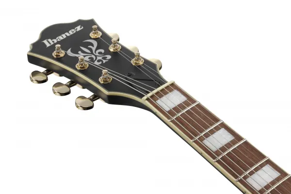 Ibanez AS73G BLK