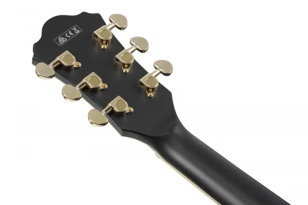 Ibanez AS73G BLK