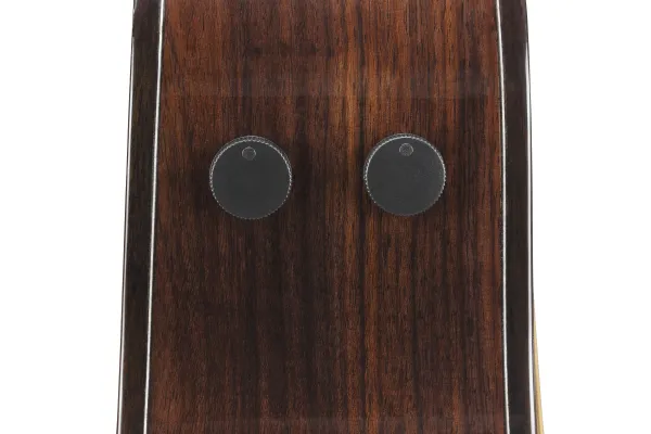 Ibanez AAM380CE-NT