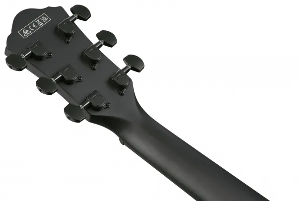 Ibanez AEWC621 Black Out