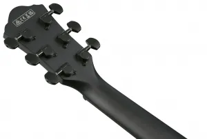 Ibanez AEWC621 Black Out