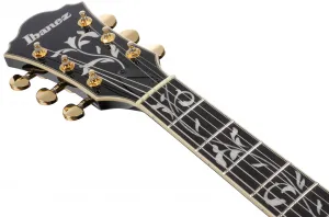 Ibanez AS93SP Black