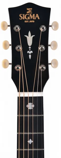 Sigma Guitars SJR-SG45