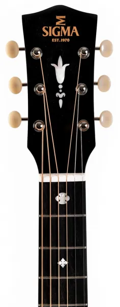 Sigma Guitars SLR-SG00