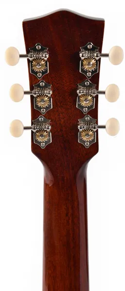 Sigma Guitars SLR-SG00