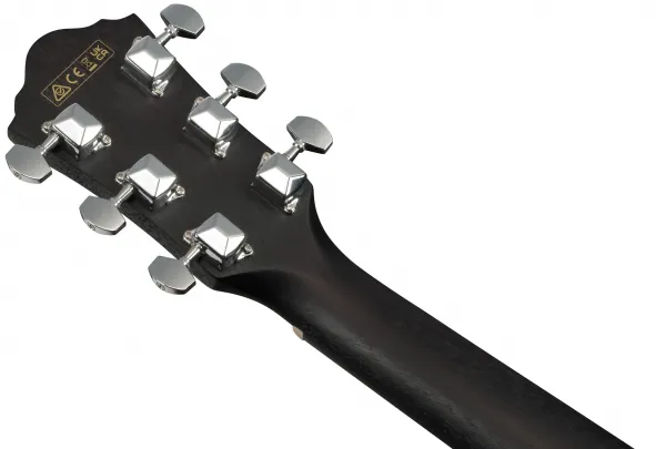 Ibanez VC44CE Weathered Black