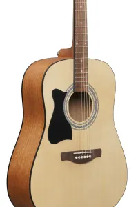 Ibanez V50LNJP Natural