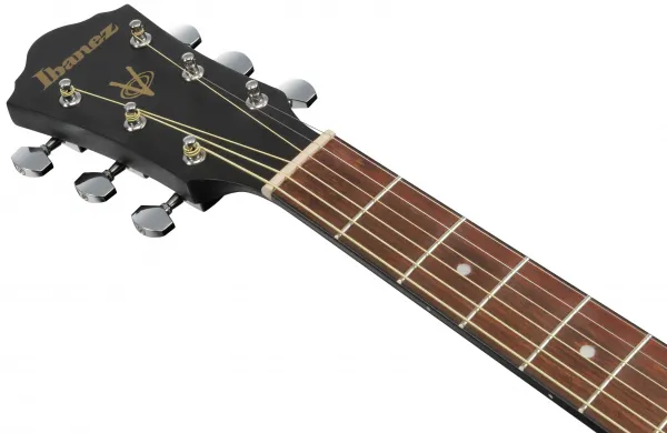 Ibanez V54NJP Weathered Black