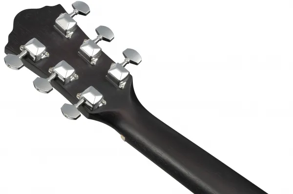 Ibanez V54NJP Weathered Black