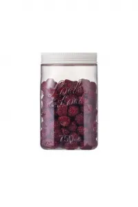 LOCKNLOCK Dóza na potraviny Lock Square 750 ml
