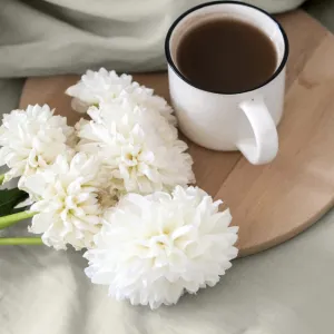 Plachta s gumičkou BASIC béžová