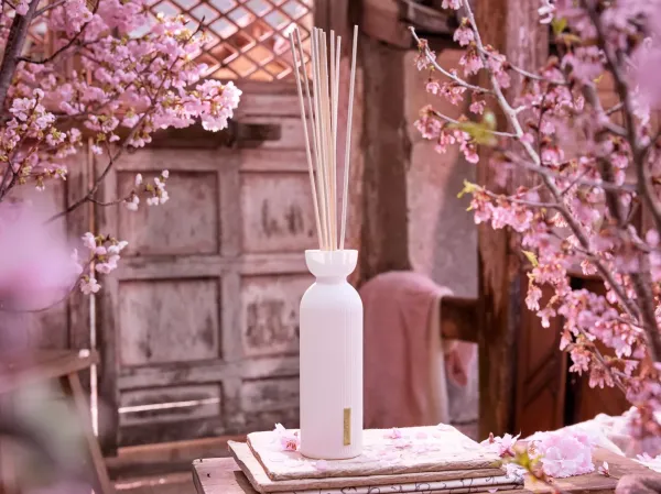 Sakura Fragrance Sticks