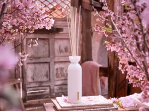 Sakura Fragrance Sticks