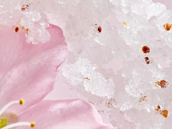 Sakura Body Scrub
