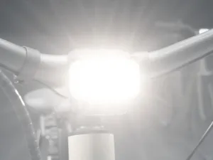 Crivit Mestský elektrobicykel s remeňovým pohonom Gates X.3
