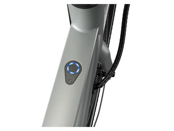 Crivit Mestský elektrobicykel X.3 Shimano Cues (sivá)
