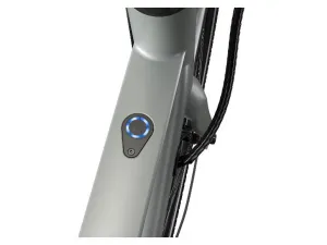 Crivit Mestský elektrobicykel X.3 Shimano Cues (sivá)