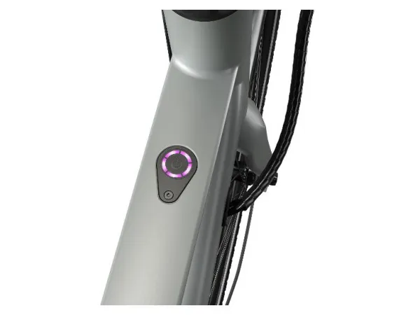 Crivit Mestský elektrobicykel X.3 Shimano Cues (sivá)