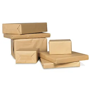250 x Baliaci papier v hárkoch 65 x 100 cm  | RAJA®