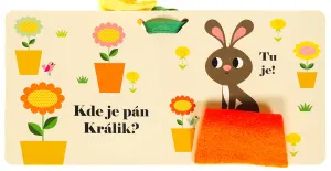Kde je pán Psík? Knižka do kočíka