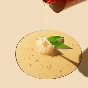 DAENG GI MEO RI Honey Therapy Professional Plus Shampoo regeneračný šampón pre slabé a poškodené vlasy 500 ml