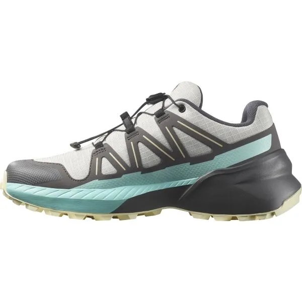 Salomon SPEEDCROSS PEAK W Dámska obuv na trailový beh, sivá, veľkosť 42