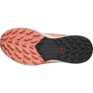 Salomon SENSE RIDE 5 W Dámska obuv na trailový beh, béžová, veľkosť 40