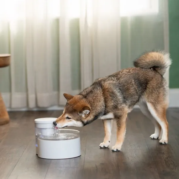 PetSafe® Fontána Outlast™1,7l