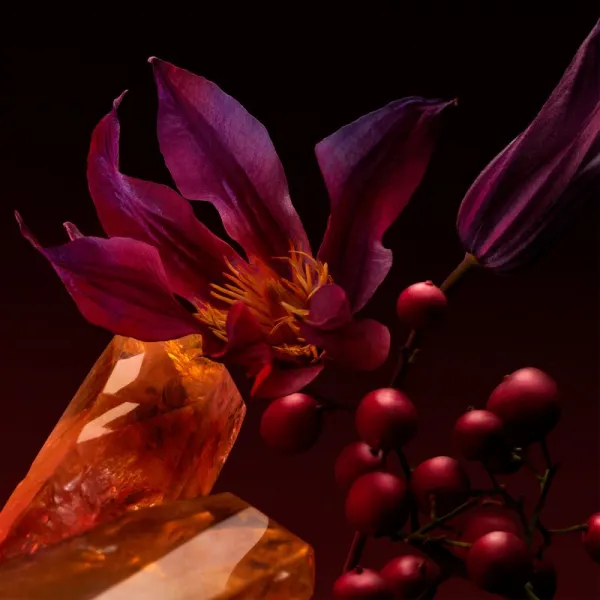 HUGO BOSS THE SCENT ELIXIR PARFUM INTENSE FOR HER Parfum