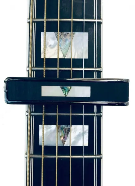 Thalia Guild Ebony V Block Black Chrome