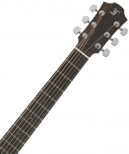 Furch Green Dc-SR Master's Choice Sunburst CNR Active