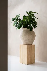 Kvetináč Fleuri, béžový travertín, viac veľkostí - Pottery Pots Velikost: S - ⌀ 46, v. 46 cm