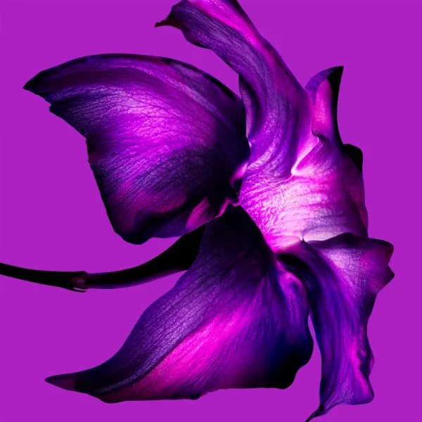 Mugler Alien Extraintense parfumovaná voda pre ženy 30 ml