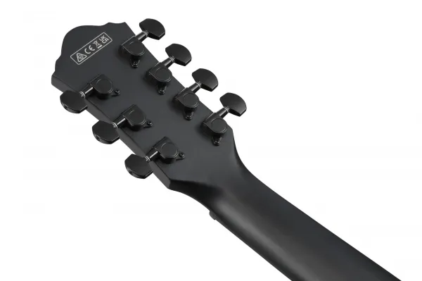 Ibanez AEG721 Black Out