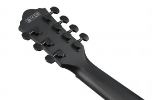 Ibanez AEG721 Black Out