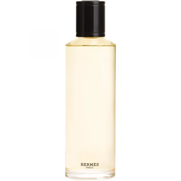 HERMÈS Terre d’Hermès Eau de Parfum Intense parfumovaná voda intense náhradná náplň pre mužov 200 ml