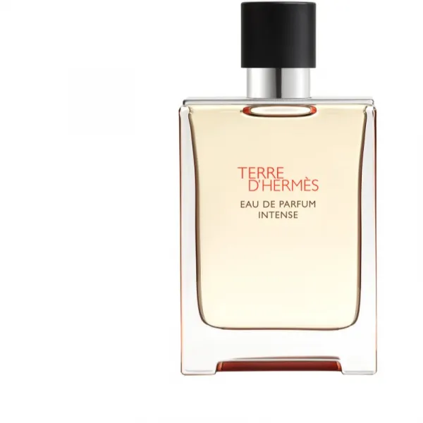 HERMÈS Terre d’Hermès Eau de Parfum Intense parfumovaná voda intense pre mužov 100 ml