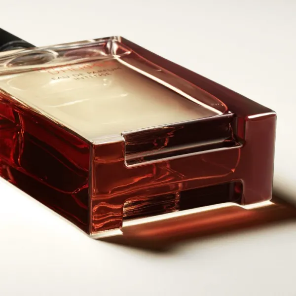 HERMÈS Terre d’Hermès Eau de Parfum Intense parfumovaná voda intense pre mužov 100 ml