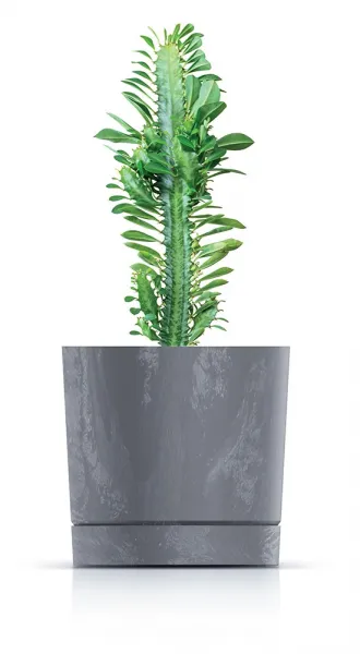 Prosperplast Kvetináč TUBOS P betónový efekt šedý matný, variant 29,2 cm