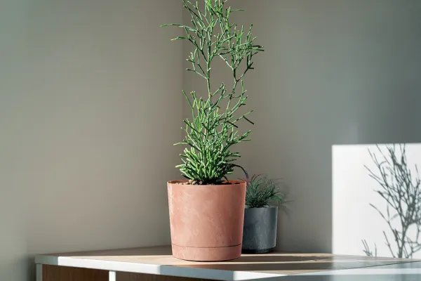 Prosperplast Kvetináč TUBOS P betónový efekt šedý matný, variant 29,2 cm
