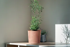 Prosperplast Kvetináč TUBOS P betónový efekt šedý matný, variant 29,2 cm