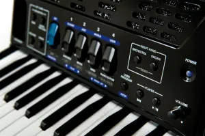 Roland FR-1x Klávesový akordeón Black