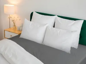 Plachta s gumičkou BASIC oceľová