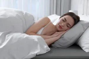 Plachta s gumičkou BASIC oceľová